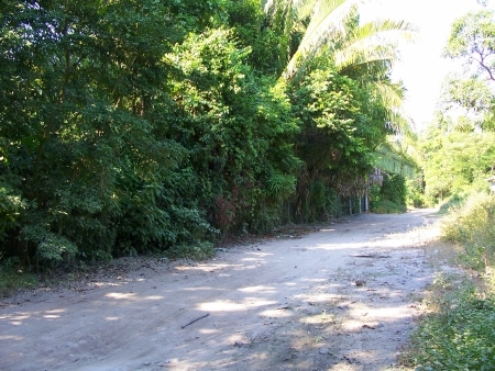 La Manzanilla Realty