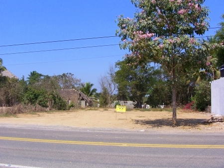 La Manzanilla Realty