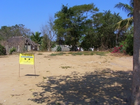 La Manzanilla Realty