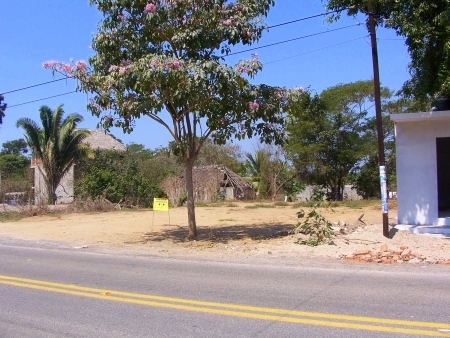 La Manzanilla Realty