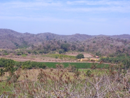 La Manzanilla Realty
