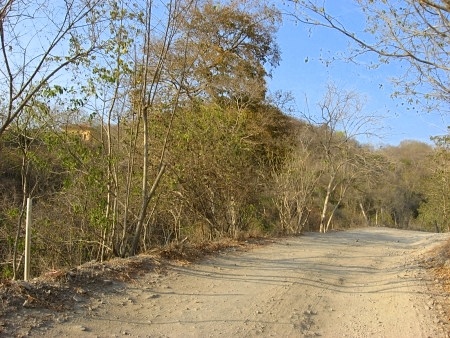 La Manzanilla Realty