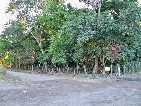 La Manzanilla Realty
