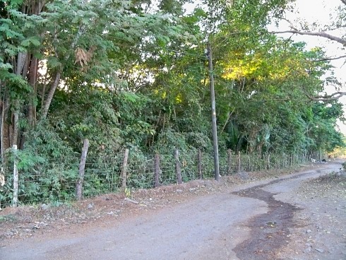 La Manzanilla Realty