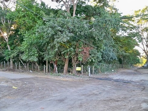 La Manzanilla Realty