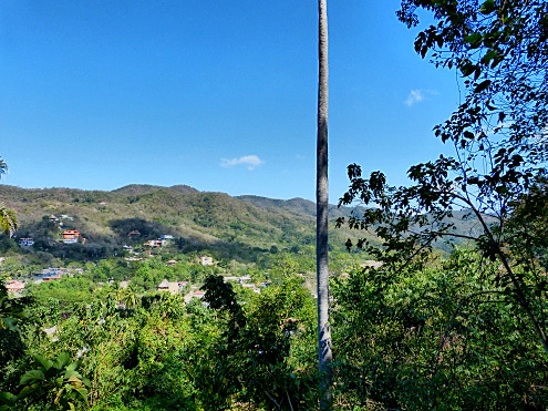 La Manzanilla Realty