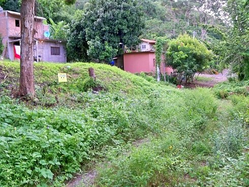 La Manzanilla Realty