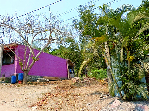 La Manzanilla Realty