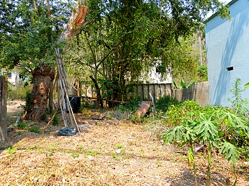 La Manzanilla Realty