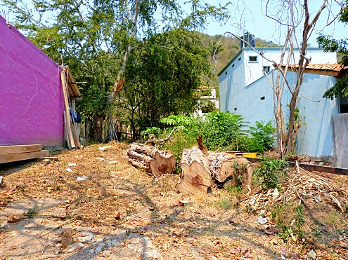 La Manzanilla Realty