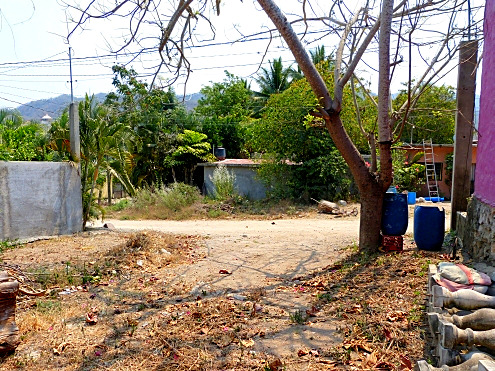 La Manzanilla Realty