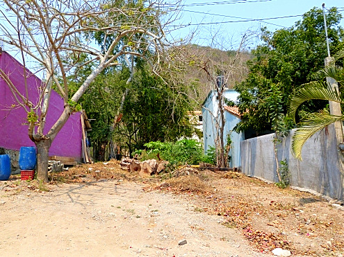 La Manzanilla Realty